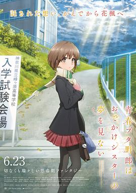 漂亮的姐姐